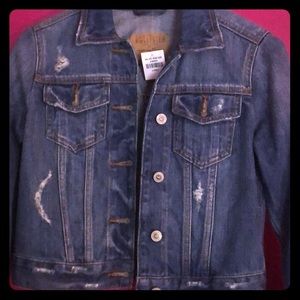 Nwt hollister Jean jacket